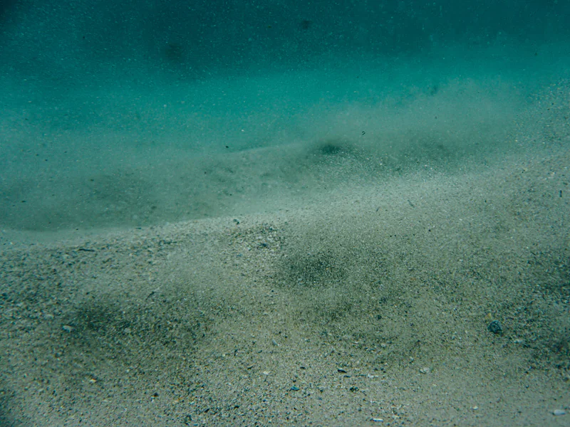 Open seabed where AUV side-scan line spacing, altitude, overlap, and nadir coverage determine accepted survey area