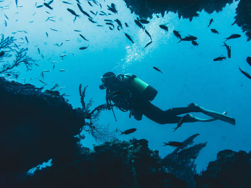 Underwater diver representing a moving target that harbor sonar must detect, classify, and track
