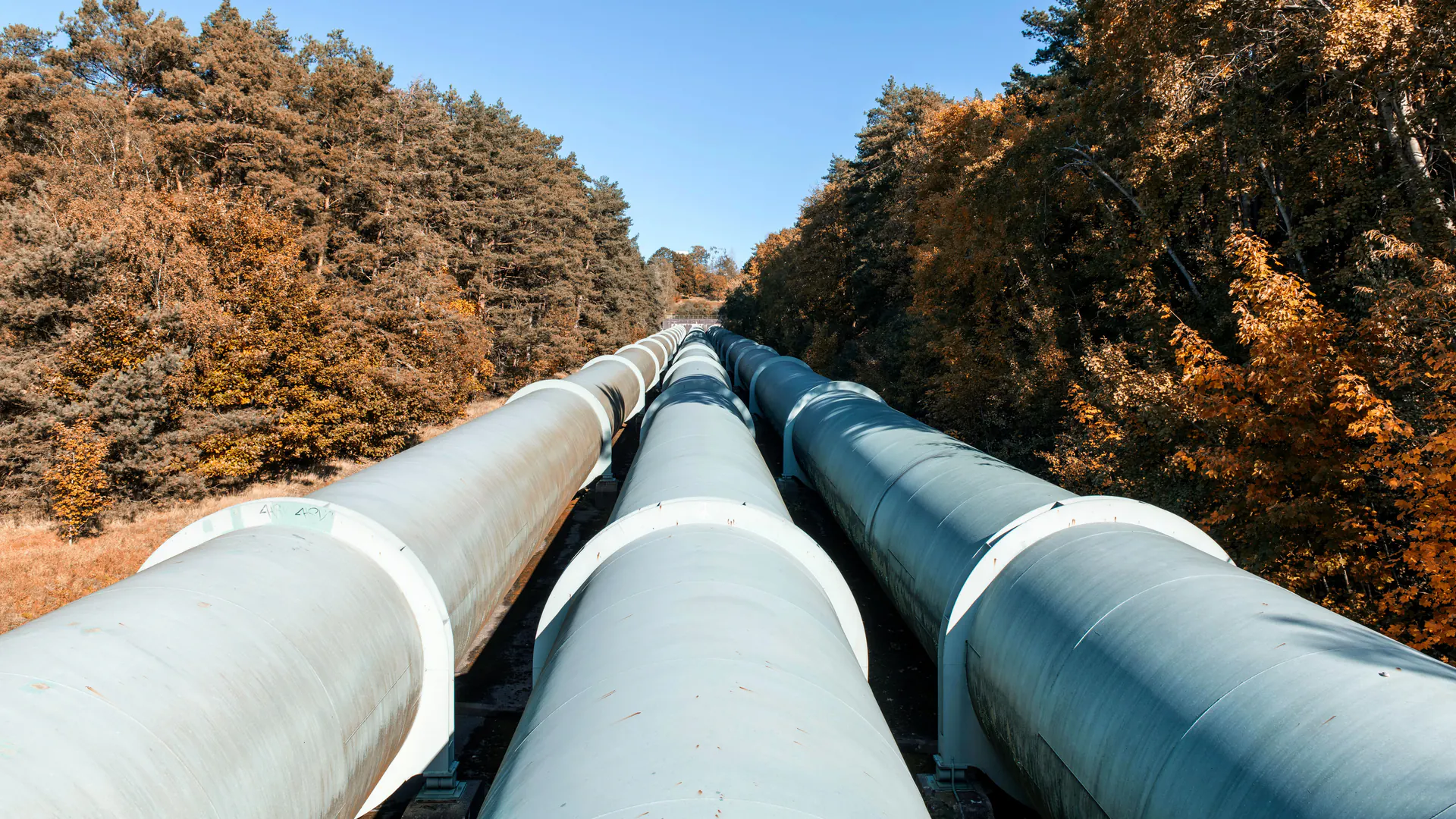 Exposed oil and gas pipeline crossing a wooded corridor for route-based aerial inspection