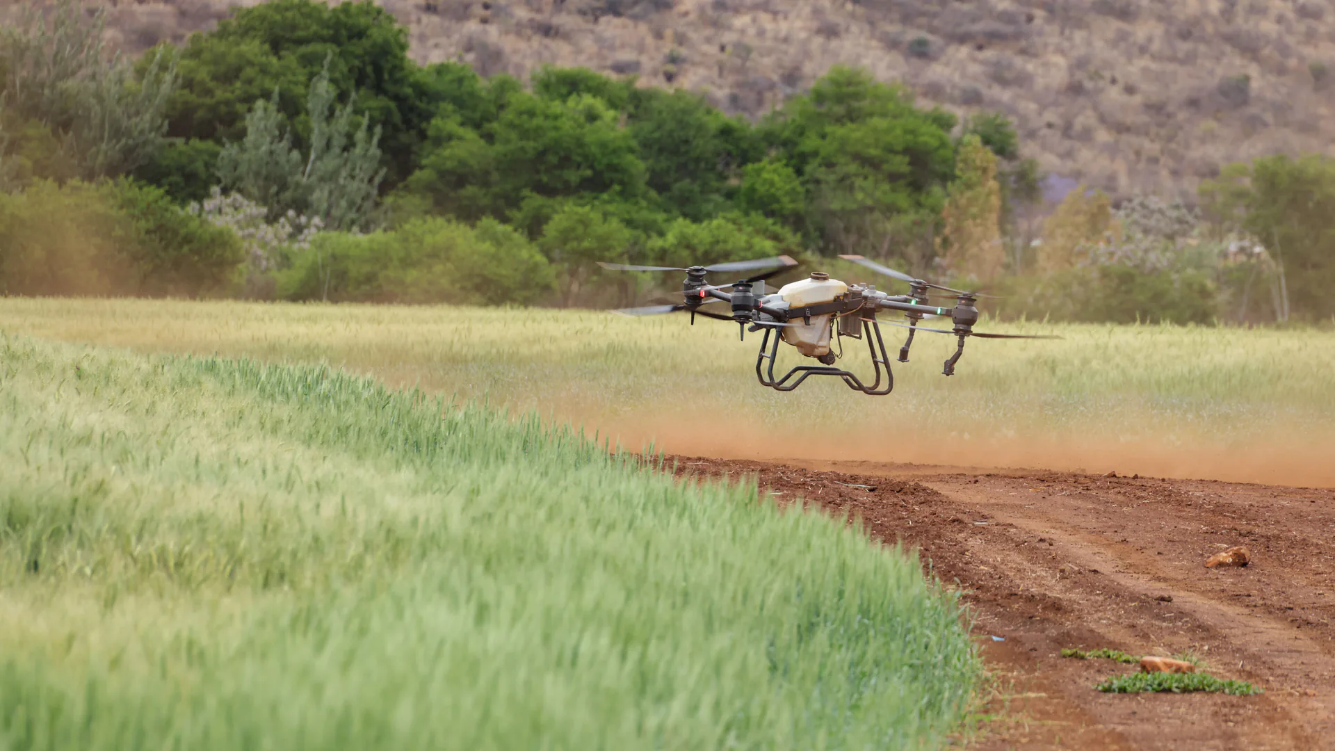 Crop monitoring drone flying above organized field rows during a commercial scouting mission