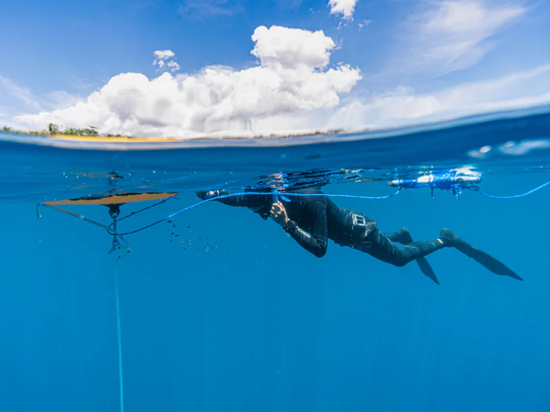 Underwater inspection equipment used to examine submerged port infrastructure in limited visibility