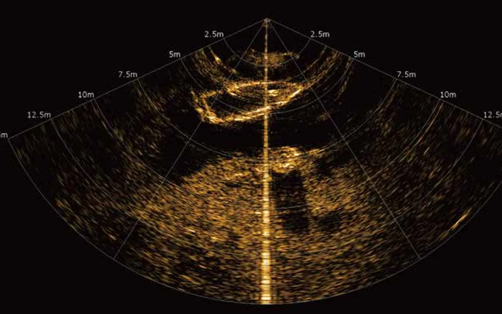 SNR-C400 Imaging Sonar application view
